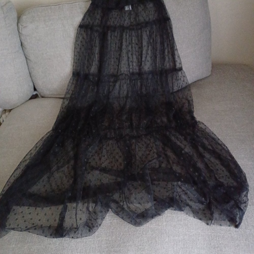Sheer Skirt